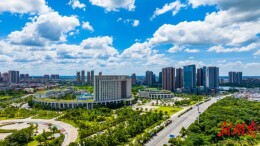 “望企荟”架起政企连心桥，望城营商环境向优而行