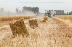 湘潭秸秆综合利用率近90%