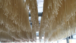 会同“粉丝”，舌尖上的乡愁