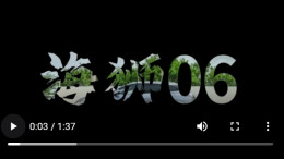 视频丨空间巨无霸＋云辇C舒适王，海狮06真香！