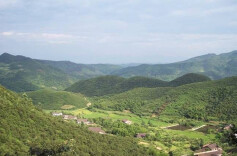 王俊寿在株洲巡林时强调 提高消防预警能力筑牢森林防灭火安全底线