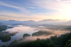 强者活在事情里，弱者困于情绪中