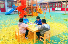 三湘时评丨将教育公平的阳光洒向“人生起点”