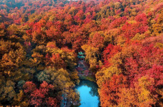 山不在高，得文则名——《致敬岳麓山三部曲》读后有感