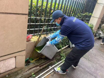 居家外出如何防蚊？社区消杀如何配合？上海开展专项行动，这份指南请收好