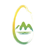 好看吗？第五届湖南旅游发展大会LOGO公布