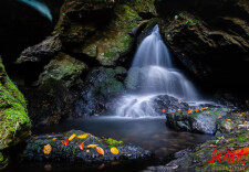 湖南小溪保护区：隐匿山野的避暑天堂