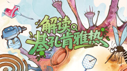 解读基孔肯雅热——三湘都市报16楼深读周刊