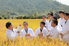 理论·学习 | 面向保障国家粮食安全需求，加强种业知识产权人才培养