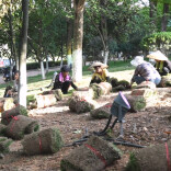 【聚力“一迎三创” 提升城市品质】战高温保进度  鹤鸣洲提质改造项目建设“热”度不减