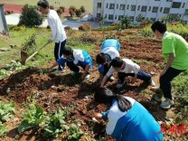 科教观察丨以世界为教材，不以教材为世界——湖南多所高中组织学生开展暑期调查的启示