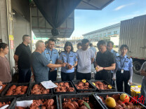 长株潭三地联动 守护“炎陵黄桃”地理标志