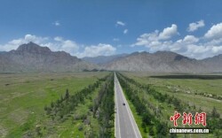 贺兰山下绿意盎然