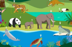 衡南县林业局开展野生动物保护专项整治行动