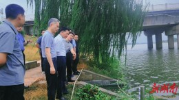 周志辉带队赴望城区调研生态环境保护工作