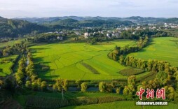 贵州黔西：十里田畴稻花香