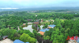 【福地怀化·康养季】怀化：雪峰山佳肴 天麻炖乌鸡