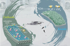 南华大学曾庆意教授团队在环境领域顶级期刊发表最新研究成果