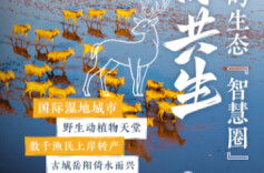 【SVG海报】水YOUNG湖湘，解锁绿水青山新样范