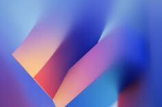 在数据荒原上培育精神根系