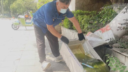 湖南疾控划重点，基孔肯雅热的7大场所“防控指南”来了