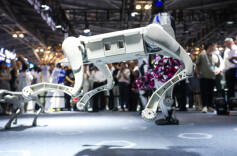 【上海一周】“风口”出现之后