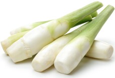 文萃新知｜茭白：美味蔬菜竟是真菌感染的谷物