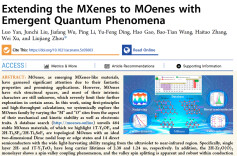 南华大学数理学院燕罗博士在ACS nano发表重要研究成果：MOenes--新兴的类MXenes家族量子材料