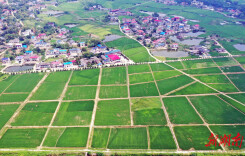 龙洞山水间，红魂绿韵长——“红色+油茶”铺就乡村振兴进阶之路