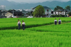 视频 | 央视一套《山水间的家》栏目组走进中方县荆坪村，看田园诗意，品岁月悠长