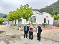 陈春芳：让绿色成为最美的颜色