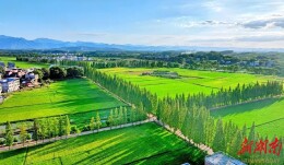 农村公路上的“护”与“帮”｜2025民生实事巡礼④