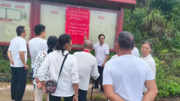 芷江王公坡村小板报化身橘农“智囊”，助力小果子迈进大市场