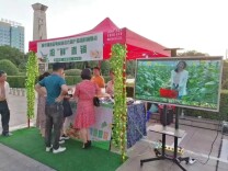 新市镇：小民生，见证代表履职担当大作为