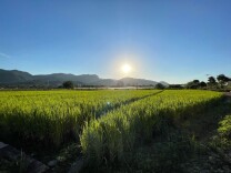 理论·新域丨将更多课程开到田野乡间，为乡村振兴输送高质量人才