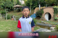 开满鲜花的小路