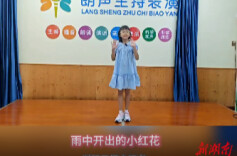 雨中开出的小红花