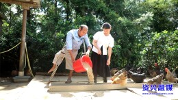 乡村“鸡倌”曹宏庚：脱贫致富路上“拄拐”前行