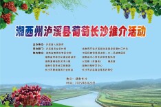 省教育厅驻泸工作队长沙搭台 共话泸溪葡萄产业高质量发展