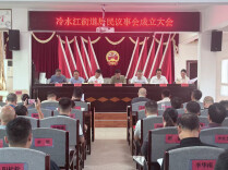 冷水江街道：建好用好代表专业小组