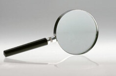 内蒙古自治区政府主席王莉霞接受审查调查