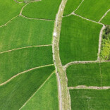 资兴：省粮食和物资储备局对口支援，为乡村发展“耕”出新希望