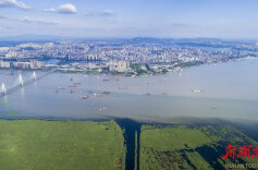 大湖新记丨护住碧水 换得金山——湖南大湖的生态答卷与时代新韵