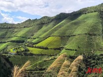 将军冲村：以项目建设“领跑”乡村振兴