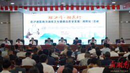 湘沪情牵健康路，名医返乡惠民生|“湘沪情·湘医行”活动在湘阴县隆重启幕