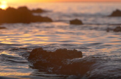 懂得反思，是变好的开始