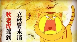 文萃新知｜“秋老虎”时段切记做好头腹保暖