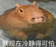 又见证历史了！上海连续高温日创百年新高！