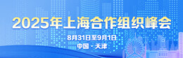 2025年上海合作组织峰会
