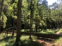 永州市集中约谈生物质焚烧管控不力县市区 部署中元节焚烧管控工作